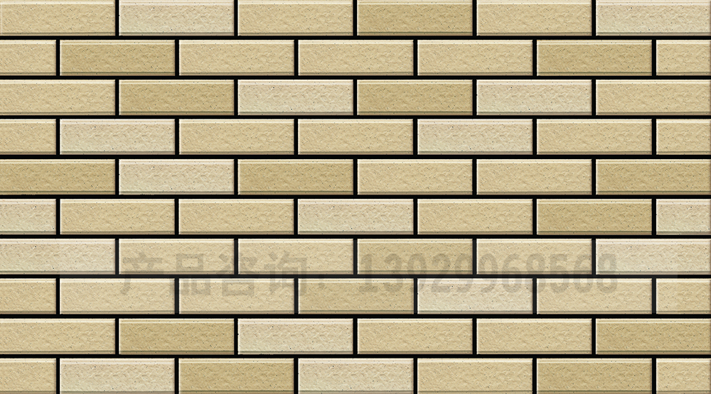 通体外墙砖ES-3004X 1002X 1003X