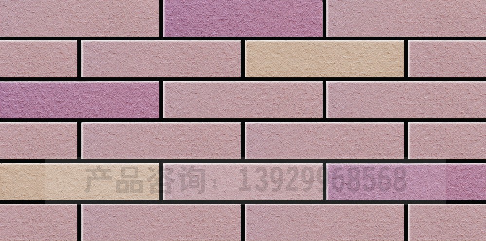 通体外墙砖FS-1099 2007 1008