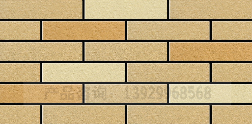 通体外墙砖FS-1023 1007 3043