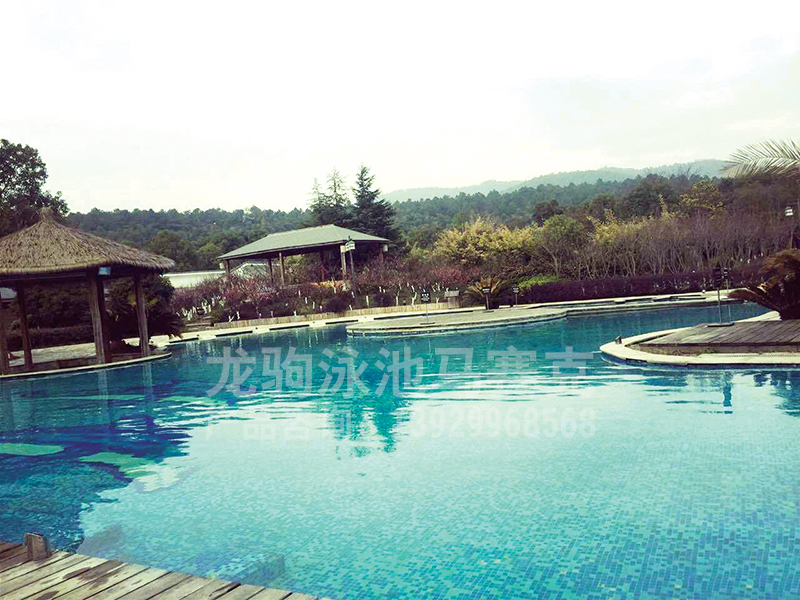 SPA温泉泳池案例