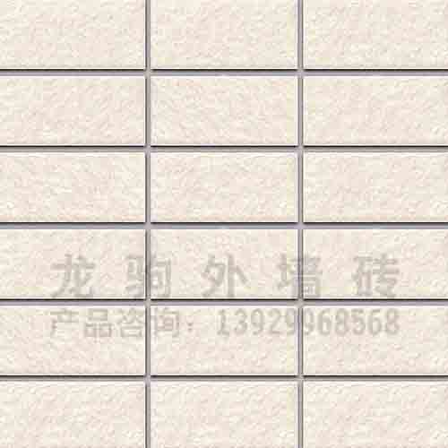 热销外墙砖-AS1007