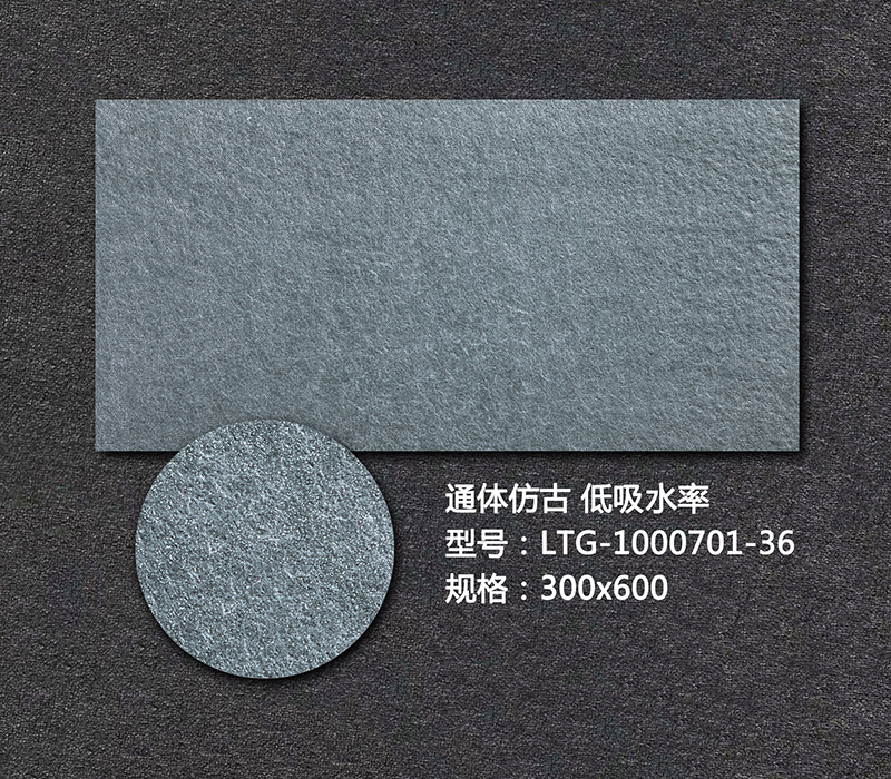 艺术外墙砖LTG-1000701-36